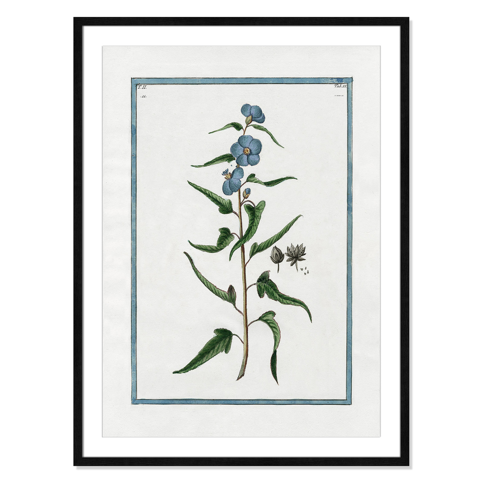 Colombe "Shabby Elegance Botanical I" Print, Black Framed, 25.5" W x 35.5" H