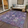 Machine Washable Indoor/Outdoor Kaczor ACN2234 Global Rug