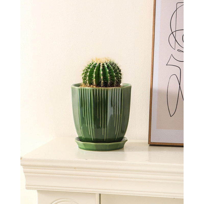 6" White Ceramic Planter (with Drainage & Saucer), Green
