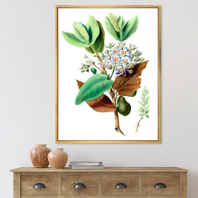 «Vintage Plant Life XXV III», peinture sur toile
