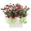 Hortensias et dahlias dans un vase plissé