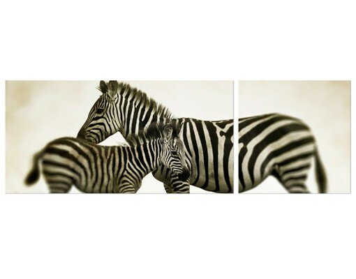 2-tlg. Leinwandbilder-Set Pair of Zebras