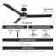 Ceiling Fan with LED Lights