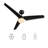 52" Smart Ceiling Fan With Remote, Light Kit Included Works With Google Assistant And Amazon Alexa,Siri Shortcut.-654977768