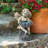 Sitting Cherub with Shell Garden Statue