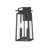 Kendrix 17.5" High 2-Light Outdoor Lantern-220695709