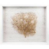 Sealife Print
