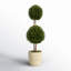 Preserved Boxwood Double Ball Topiary in Pot-465220151