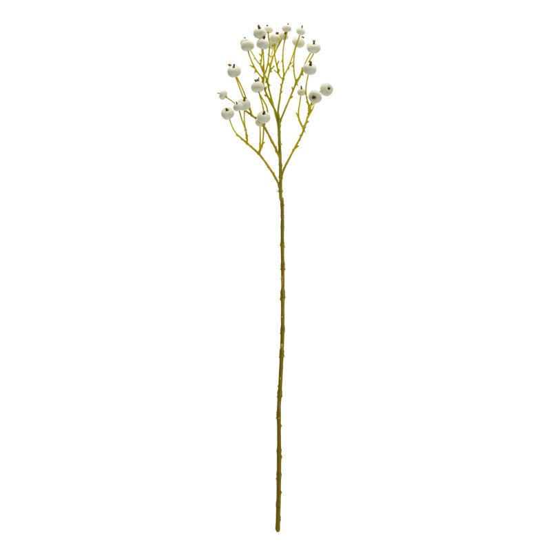 Berry Stems, Bushes, and Sprays