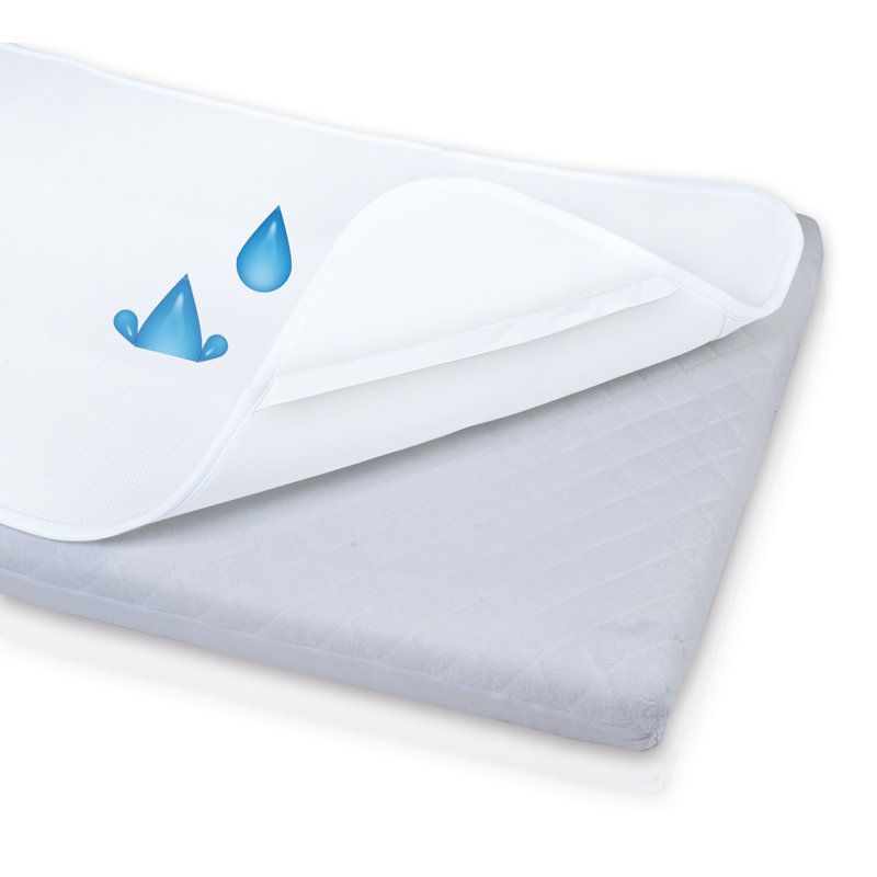 Symple Stuff Mattress Protector Mattress