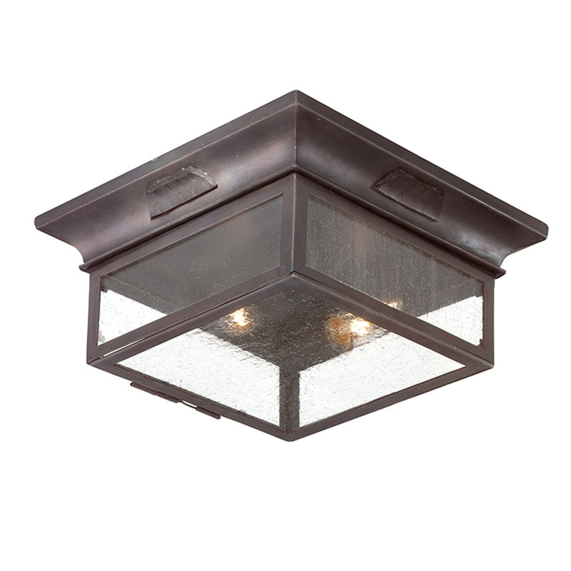 Newton 2 - Light Flush Mount, 60W Medium Base, Clear Seeded