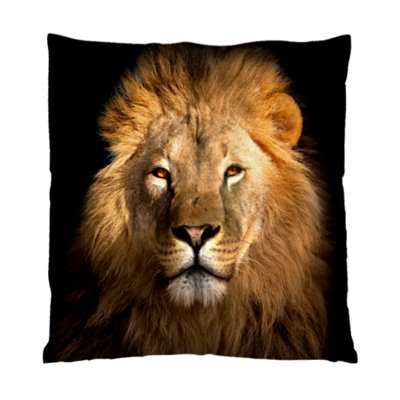 Jazlynn Square Cushion Cover