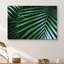 «Jungle Palm Leaves Nature Wilderness Gros plan» sur-99543811