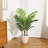 Palmier artificiel vert Adeca-847091448