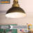10 Watt 60 Watt Equivalent LED Dimmable Light Bulb Warm White-60036640