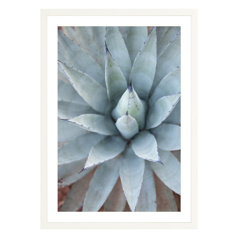 Plants & Flowers Print, White, 42" H x 28" W x 2.25" D