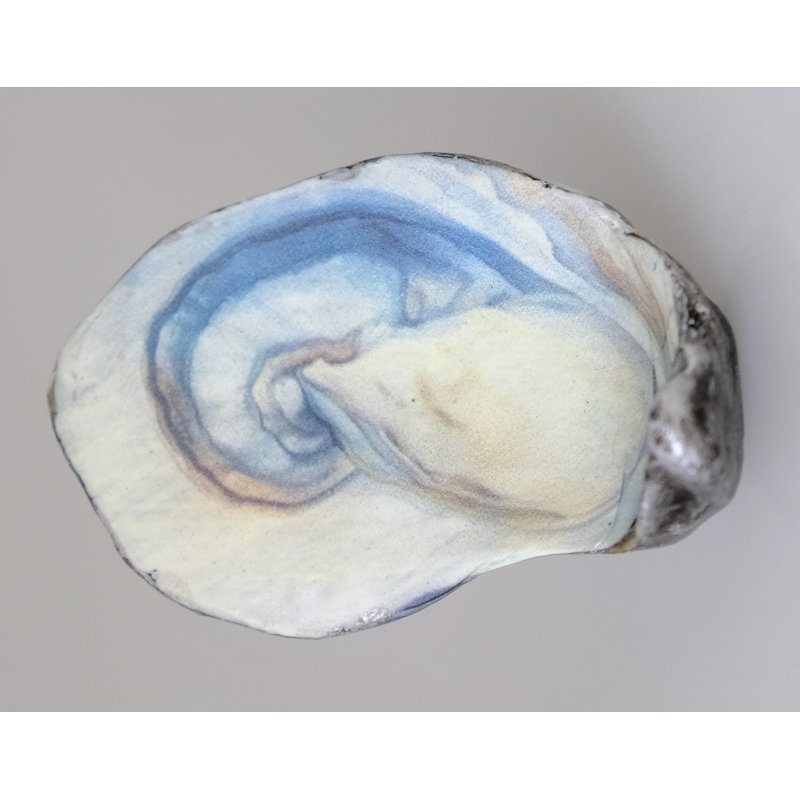 Poignée Oyster - bleu et blanc