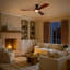 Ventilateur de plafond à intensité variable 52 po avec lumières et télécommande CCCC Karlena-1157584264