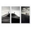 Paysage de désert noir et blanc-239239485-239239478