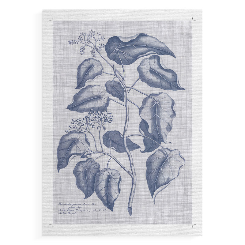 Marine et lin botanique - impression de toile seulement - non encadrée, H 12 po x l 8 po