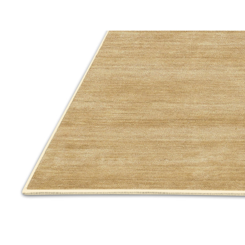 Tapis contemporain brun clair, Rectangle 2 pi x 5 pi