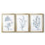 Antique Botanical in Blue VI - reproduction encadrée sur mesure de qualité supérieure - 3 pièces-288240887-288240882