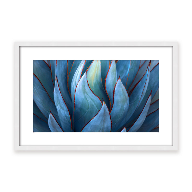 Nature Inspired Blue Agave Abstract by  - Picture Frame Graphic Art on Paper, 32" H x 48" W x 1.125" D, Black