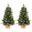 Christmas Tree-1144468084