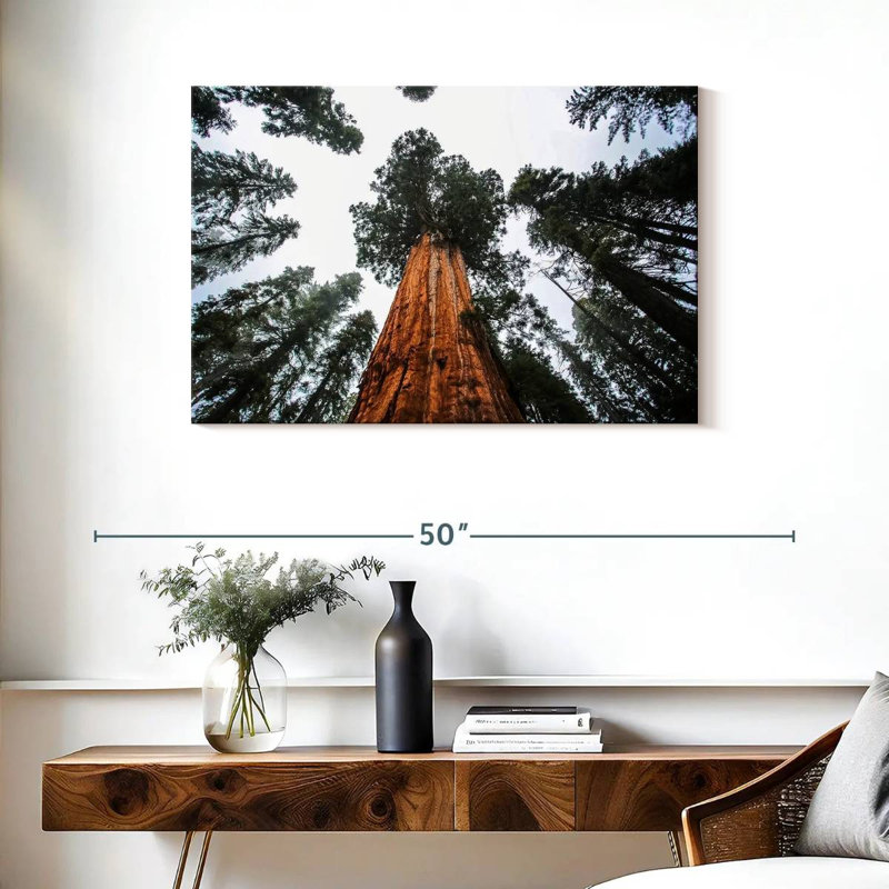 Harnek Giant Sequoias, 24" H x 36" W