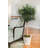 54 " H Faux Olive Tree