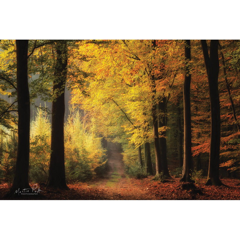 «Autumn Mood» par Martin Podt - Peinture, H 24 po x l 36 po, Non, Wrapped Canvas