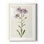Mauve Garden Flowers III - peinture encadrée-53124333-53124329