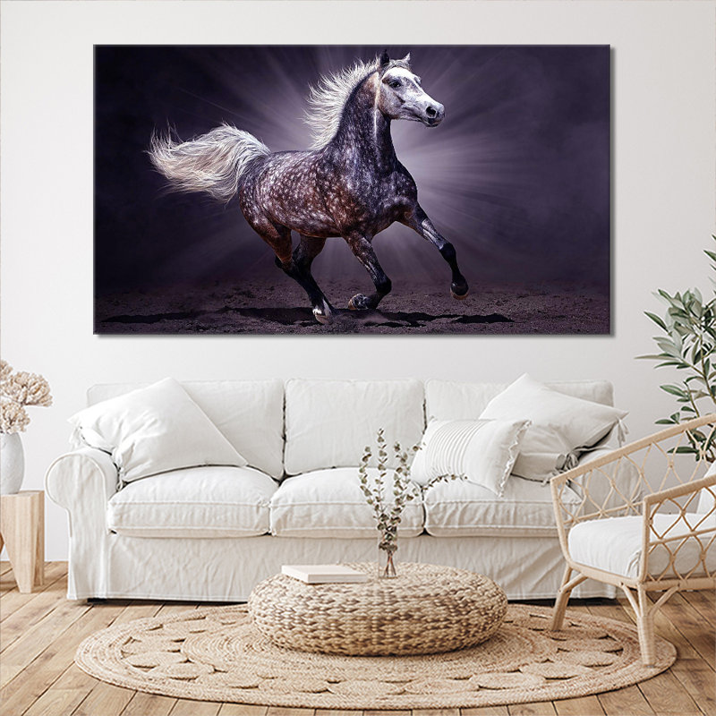 Arabian Horse - Wrapped Canvas Print, 61cm H x 101cm W x 2cm D