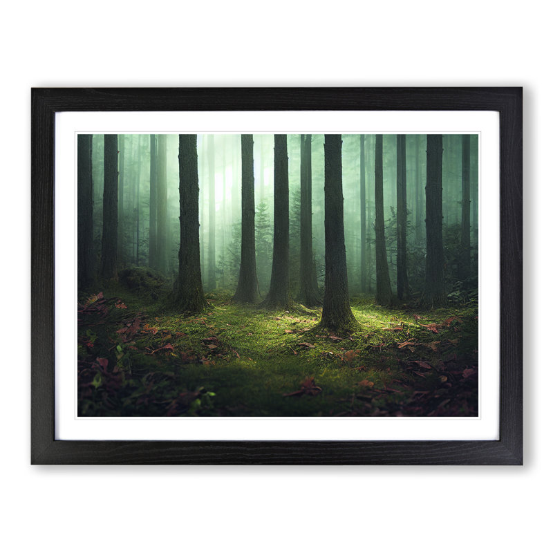 Masterful Forest - Single Picture Frame Print, 46cm H x 64cm W x 2cm D, Black