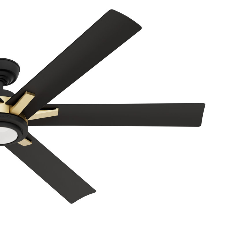 Casablanca 65 inch Melia ENERGY STAR®  Damp Rated Ceiling Fan with Lights and Wall Control, Black/Gold