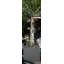 Vrej Handmade Pot Planter-14486222-26335891