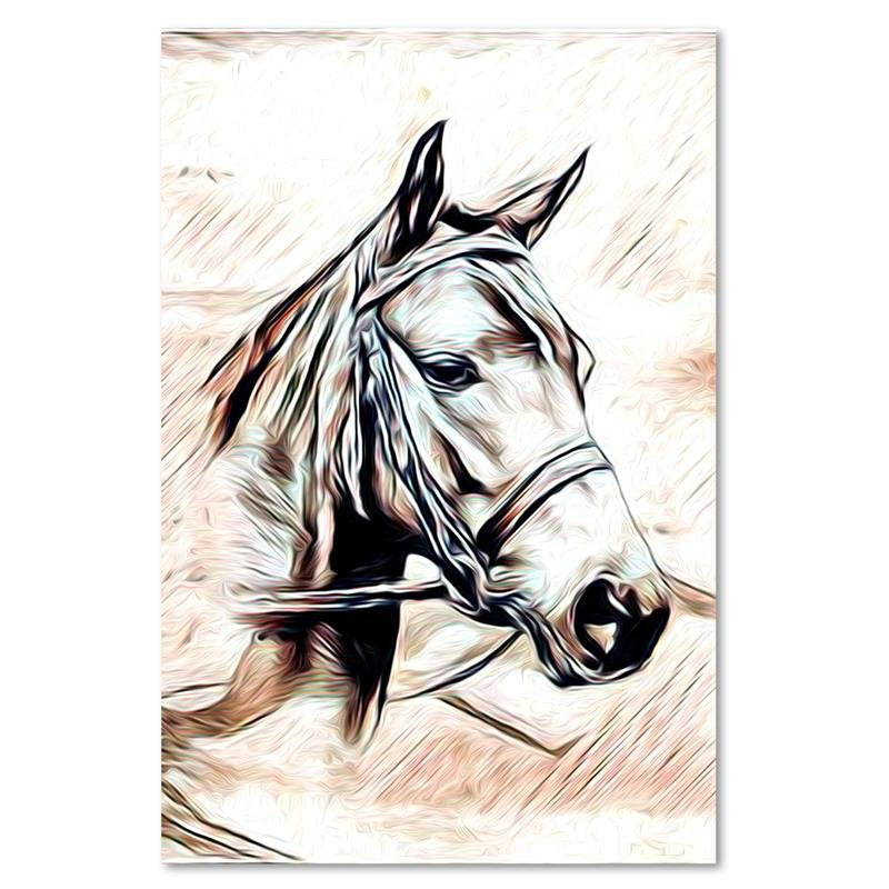 Leinwandbild Horse Portrait