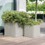 Concrete Effect Square Planter, Frostproof Reinforced Stone Outdoor Plant Pot, Garden Planter Box with Drainage Holes-928290884-933405711