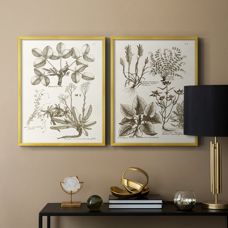 «Sepia Botanical Journal VI», reproduction encadrée de qualité supérieure - prête à être accrochée - aucun clou requis - aucun clou requis