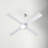 Ball 52'' Ceiling Fan with LED Lights-386566817-386566878-386566879