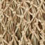 Beach Parasol
