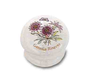 (5 Pack) 1-3/8 inch Knob White with Gazania