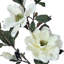 38 po vaporisateur Charleston Magnolia 