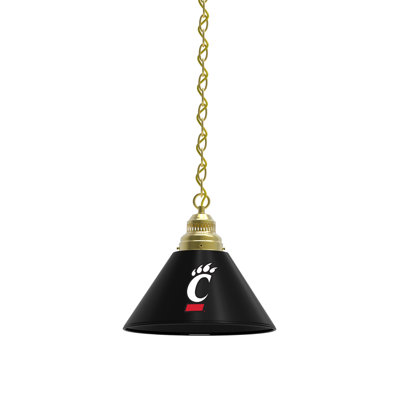 Luminaire suspendu conique à 1 lumière NCAA