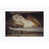 White Single Picture Framed selected