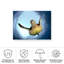 «Green Turtle In Snells Window on Canvas» par Henry Jager, reproduction-420069420