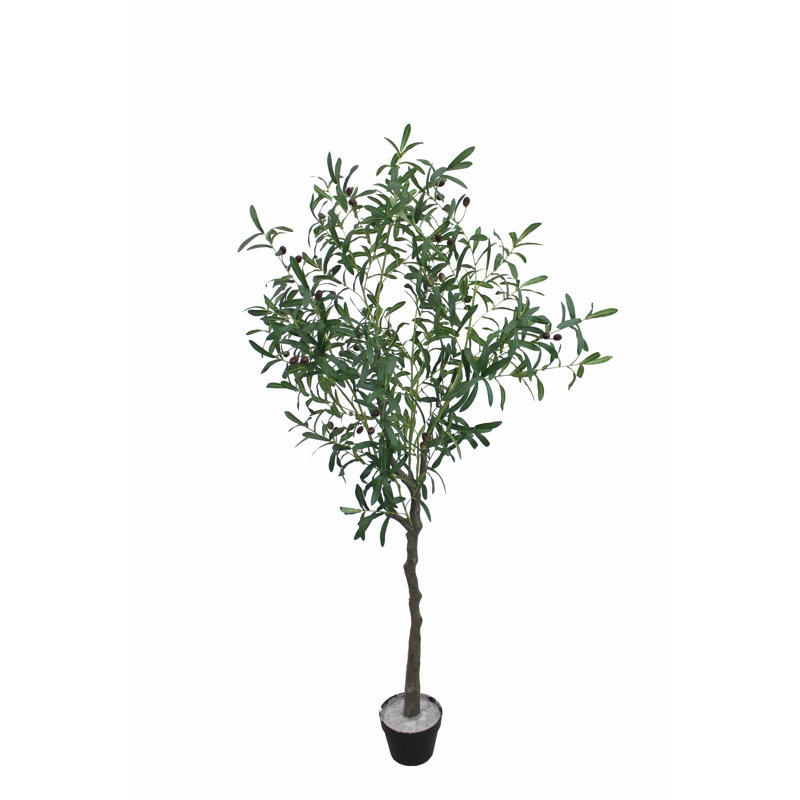 Faux Olive Tree Plant in Pot, 170"H x 50"W