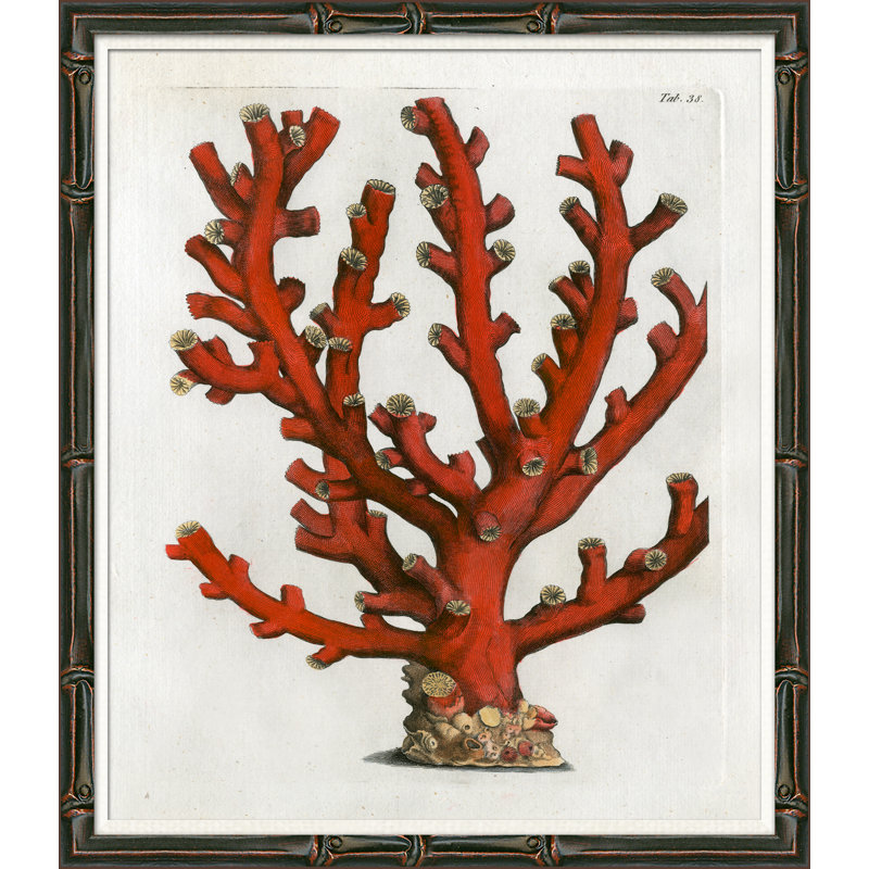 Red Coral Illustration V Giclee Print