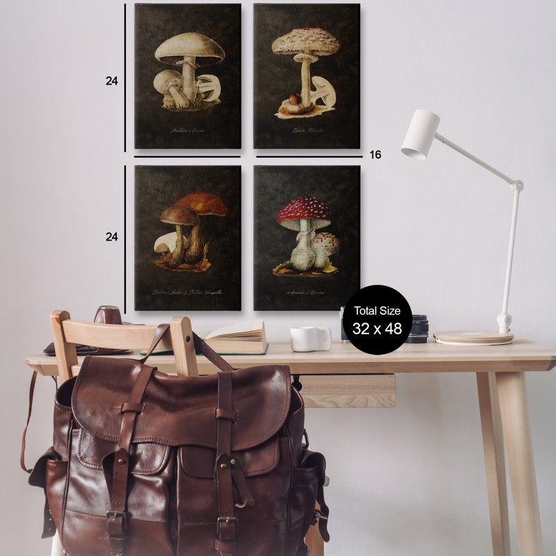  Ensemble d'art mural sur toile 4 pièces Mushroom Genus Study par Tina Higgins Designs, Inc., H 24 po x l 16 po