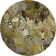 Premium Machine Washable Cerrito AMF558 Brown Rug